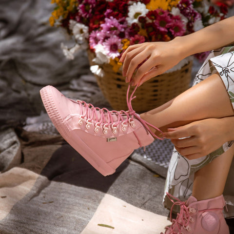 Begonia -  - #tag1# Begonia -  - #tag1#