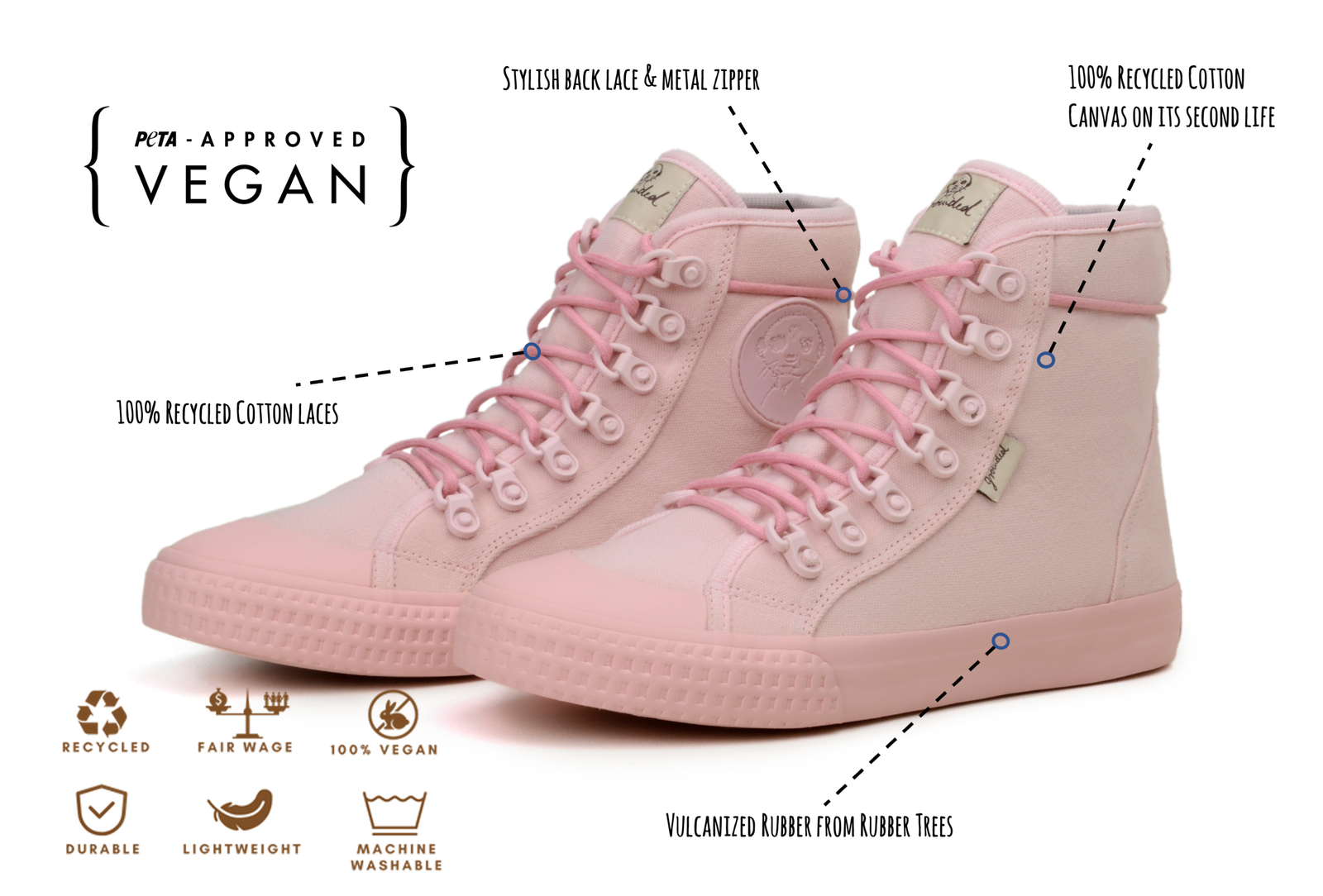Begonia -  - #tag1# Begonia -  - #tag1#