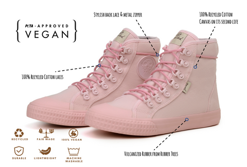 Begonia -  - #tag1# Begonia -  - #tag1#