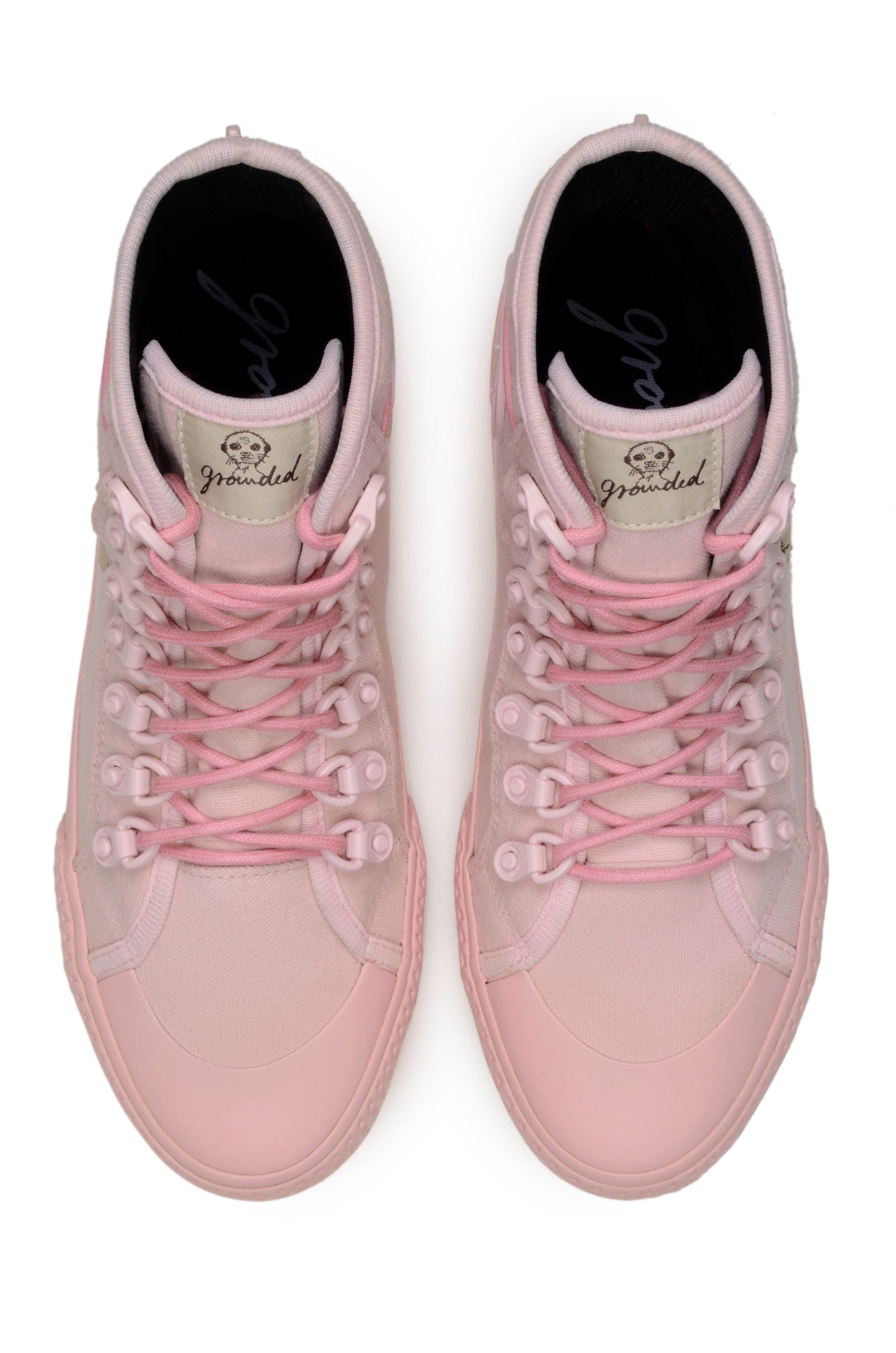 Begonia -  - #tag1# Begonia -  - #tag1#
