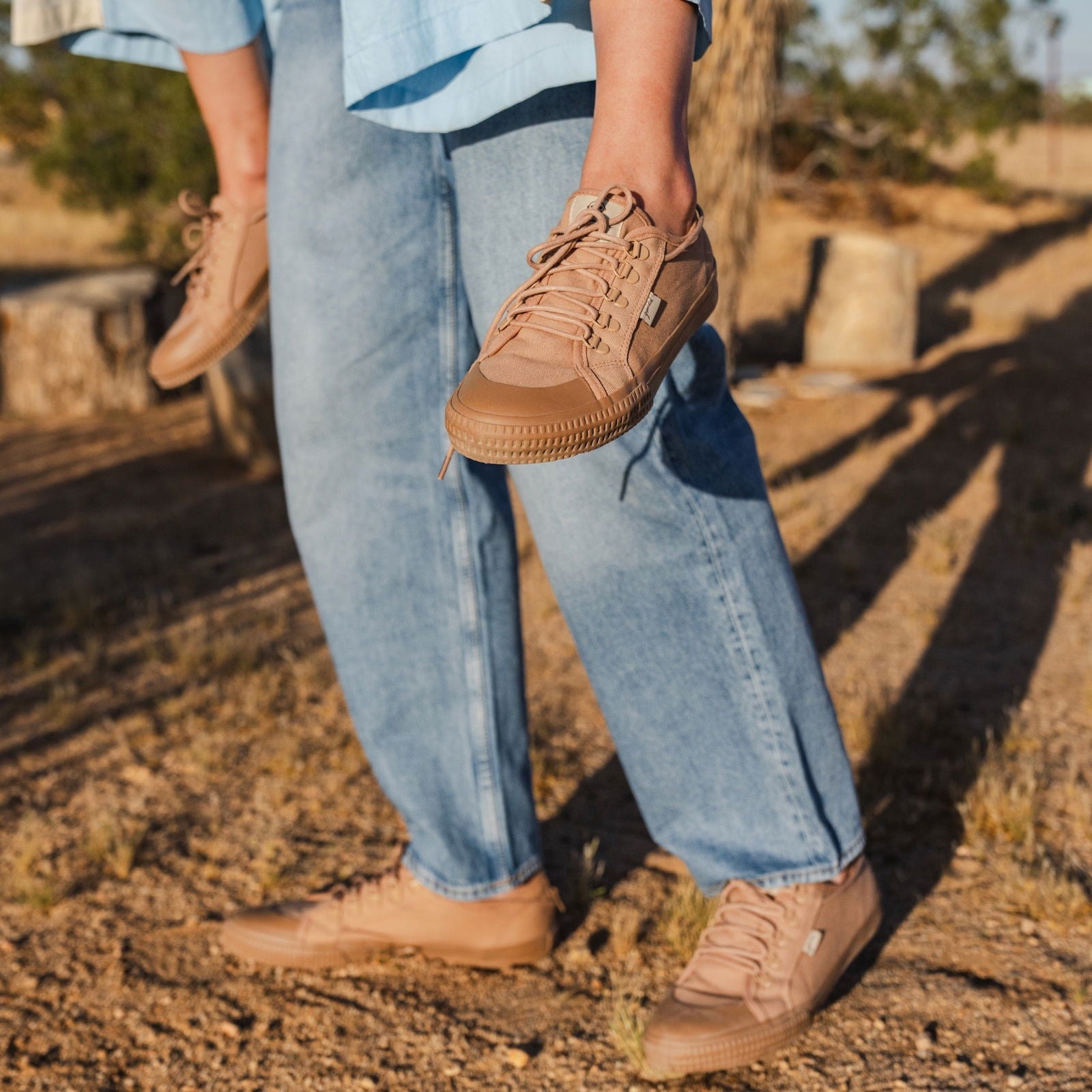 Matao -  - #tag1# Matao -  - #tag1#