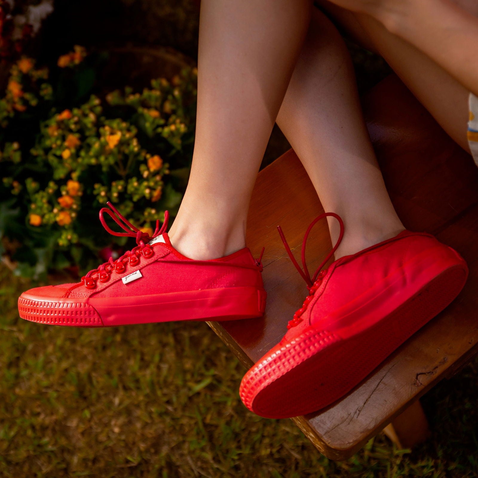 Red Rose -  - #tag1#